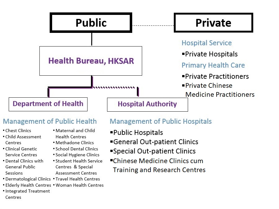 Overall structure of the healthcare system
